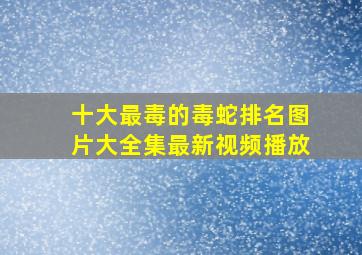 十大最毒的毒蛇排名图片大全集最新视频播放