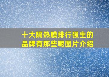 十大隔热膜排行强生的品牌有那些呢图片介绍