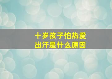 十岁孩子怕热爱出汗是什么原因