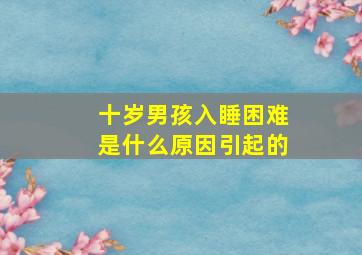 十岁男孩入睡困难是什么原因引起的