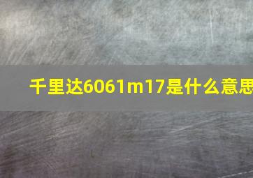 千里达6061m17是什么意思