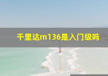 千里达m136是入门级吗