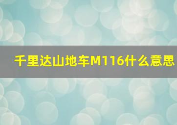 千里达山地车M116什么意思