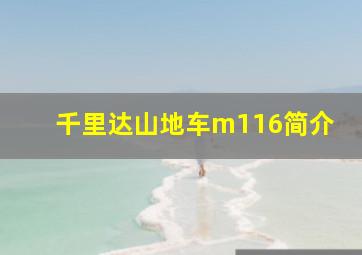 千里达山地车m116简介