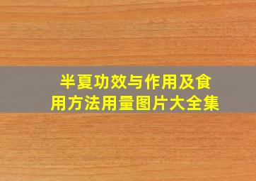 半夏功效与作用及食用方法用量图片大全集