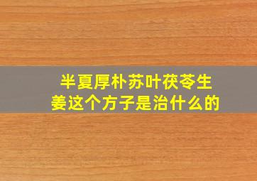 半夏厚朴苏叶茯苓生姜这个方子是治什么的