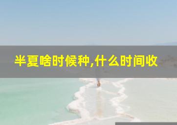 半夏啥时候种,什么时间收