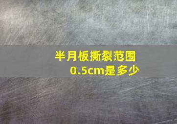 半月板撕裂范围0.5cm是多少