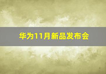 华为11月新品发布会