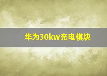 华为30kw充电模块