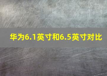 华为6.1英寸和6.5英寸对比