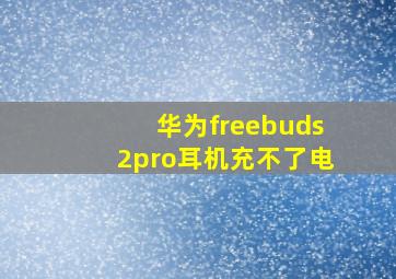 华为freebuds2pro耳机充不了电