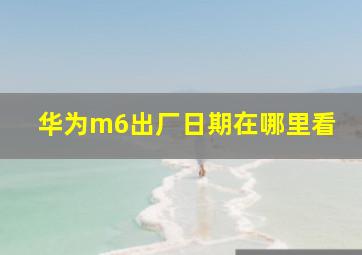 华为m6出厂日期在哪里看