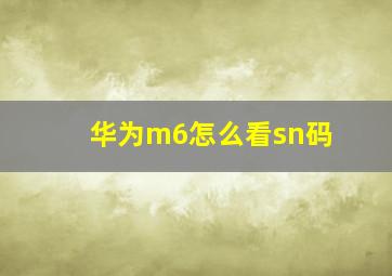 华为m6怎么看sn码