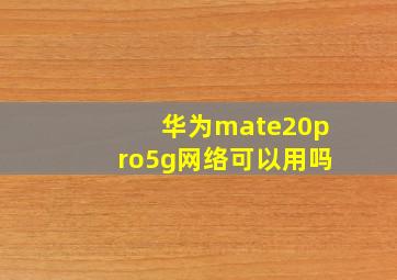 华为mate20pro5g网络可以用吗