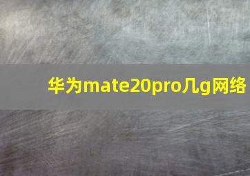 华为mate20pro几g网络