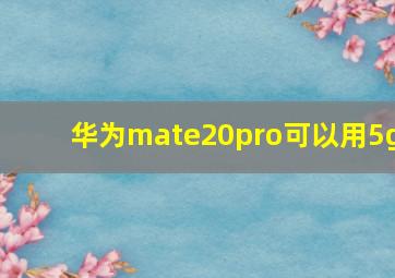 华为mate20pro可以用5g