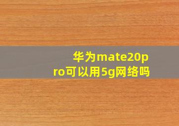 华为mate20pro可以用5g网络吗