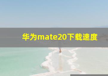 华为mate20下载速度