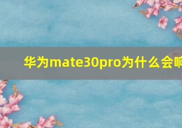 华为mate30pro为什么会响