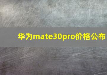 华为mate30pro价格公布