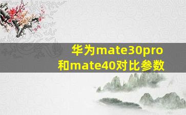 华为mate30pro和mate40对比参数