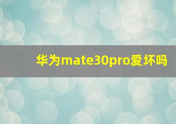 华为mate30pro爱坏吗