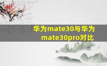 华为mate30与华为mate30pro对比