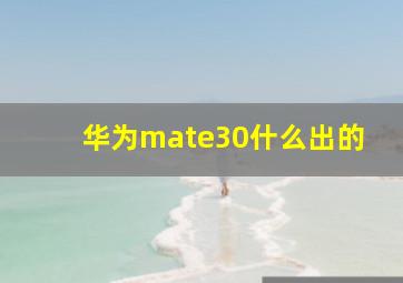 华为mate30什么出的