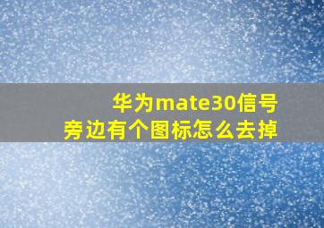 华为mate30信号旁边有个图标怎么去掉