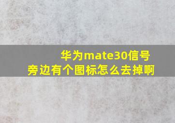 华为mate30信号旁边有个图标怎么去掉啊