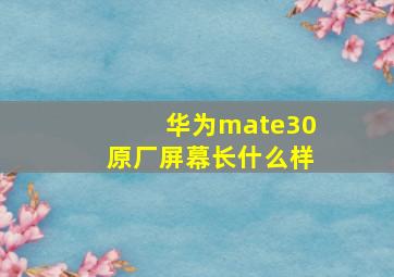 华为mate30原厂屏幕长什么样