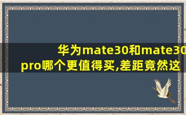 华为mate30和mate30pro哪个更值得买,差距竟然这么大