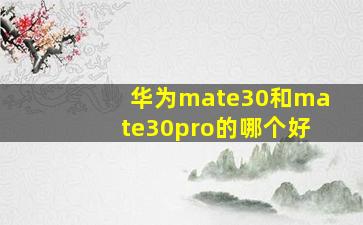 华为mate30和mate30pro的哪个好