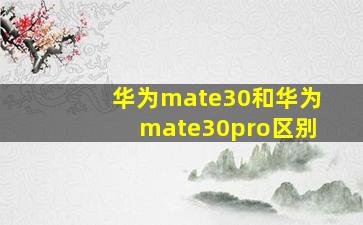 华为mate30和华为mate30pro区别