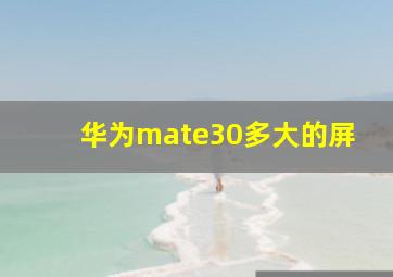 华为mate30多大的屏