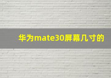 华为mate30屏幕几寸的