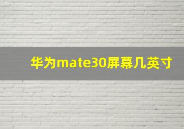 华为mate30屏幕几英寸