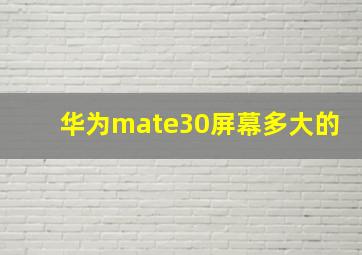 华为mate30屏幕多大的