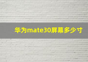 华为mate30屏幕多少寸