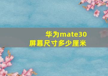 华为mate30屏幕尺寸多少厘米