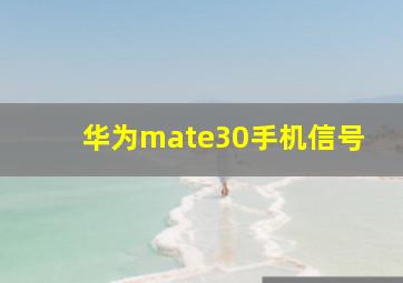 华为mate30手机信号