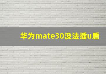 华为mate30没法插u盾