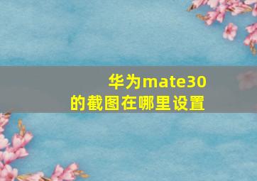 华为mate30的截图在哪里设置