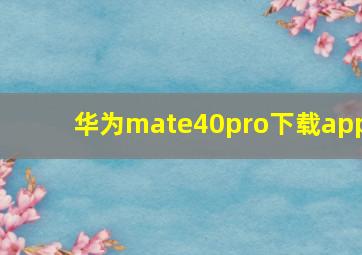 华为mate40pro下载app