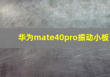 华为mate40pro振动小板