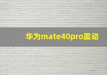 华为mate40pro震动