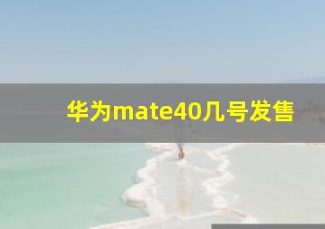 华为mate40几号发售