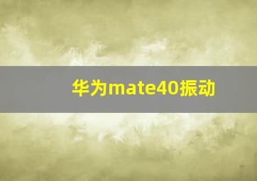 华为mate40振动