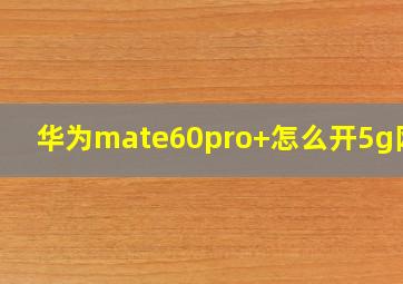 华为mate60pro+怎么开5g网络